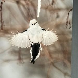 Meet your Posher, Hope